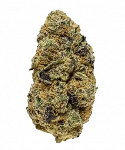 Truffle Butter, karamel aroması ve yüksek THC içeriğiyle bilinen Indica baskın bir türdür. Eşsiz genetik yapısını ve potansiyel faydalarını keşfedin.