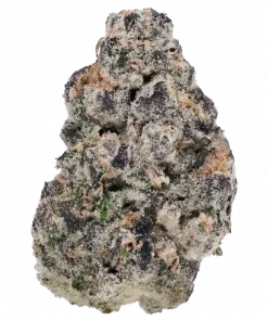 Tsunami, yakıtımsı aroması ve güçlü rahatlatıcı etkisiyle bilinen indica dominant bir türdür. Zengin genetik yapısını keşfedin ve detaylıca görüntüleyin.