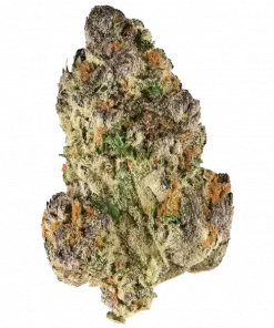 Turbo Cherrys, sert yakıtımsı ve kiraz aromalarıyla öne çıkan hibrit bir türdür. Dengeli etkileriyle bilinen bu türü keşfedin ve deneyimlerini görüntüleyin.