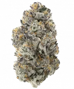 Turnover, vanilya aromalı tatlı meyve notalarıyla öne çıkan Indica dominant bir türdür. PCG'nin bu yeni nesil genetiğini keşfedin ve rahatlatıcı etkilerini görüntüleyin.