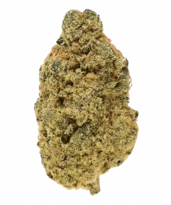 Tutankhamon x Runtz, meyvemsi aromaları ve yüksek THC içeriğiyle bilinen Sativa baskın bir türdür. Yaratıcılığı tetikleyen etkilerini keşfedin ve hemen görüntüleyin.