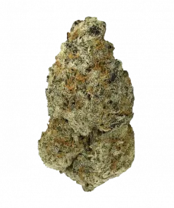 Two by Four, tatlı ve yakıtımsı aromasıyla öne çıkan dengeli bir hibrit türdür. THC içeriğiyle stresi azaltmaya yardımcı olur. Özelliklerini keşfedin.