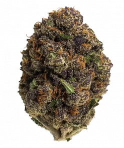 Tyson, sert turunçgil aroması ve THC oranıyla bilinen güçlü bir Indica türüdür. Ağrı ve uykusuzluk için ideal. Genetik yapısını keşfedin.