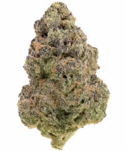 Ultra Slushee, tatlı şeker aroması ve yüksek THC içeriğiyle öne çıkan dengeli bir hibrit türdür. Benzersiz lezzet profilini ve etkilerini keşfedin.