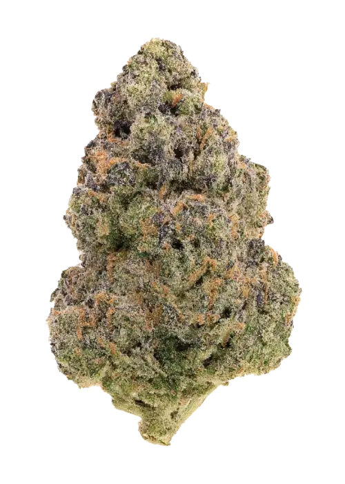 Ultra Slushee, tatlı şeker aroması ve yüksek THC içeriğiyle öne çıkan dengeli bir hibrit türdür. Benzersiz lezzet profilini ve etkilerini keşfedin.