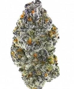 Uncrustablez, fıstık ezmesi ve jöle aromalı, yüksek THC'li bir indica türüdür. Stres ve uykusuzluğa iyi gelir. Bu eşsiz türü keşfedin.