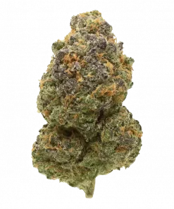 Unicorn Glue, kimyasal limon aroması ve rahatlatıcı etkisiyle öne çıkan Indica baskın bir türdür. Yüksek verimli bu türün genetik yapısını keşfedin.