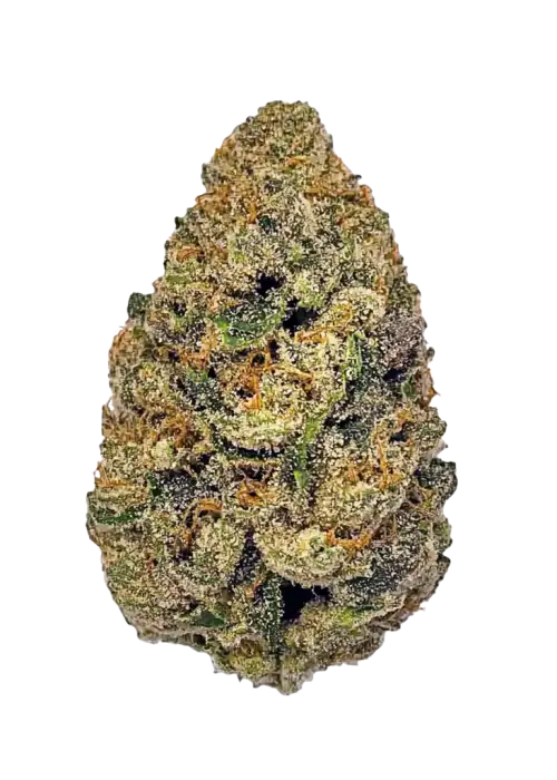 Unicorn Piss, kimyasal limon aroması ve yüksek THC içeriğiyle bilinen Indica dominant bir türdür. Bu eşsiz türün genetik yapısını ve etkilerini keşfedin.