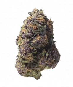 Unicorn Tears, elma aromalı ve yüksek THC'li Indica baskın bir türdür. Depresyon ve ağrı semptomlarını hafifletmeye yardımcı olabilir. Özelliklerini keşfedin.