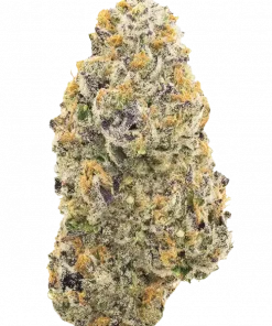 UW Purple, üzüm ve böğürtlen aromalı, yüksek THC'li Indica baskın bir türdür. Derin rahatlama ve uyku için ideal. Genetik yapısını keşfedin.