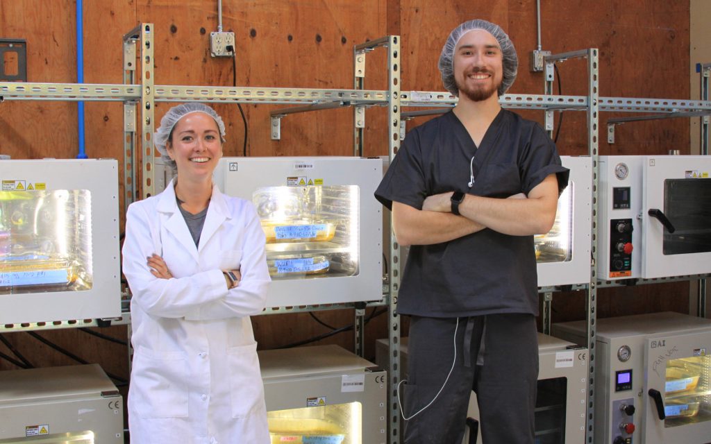 Vacuum oven (Vakum fırını)