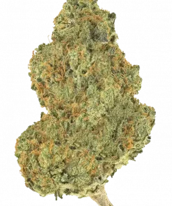 Valley Vixen, kimyasal limon aroması ve yüksek THC içeriğiyle öne çıkan dengeli bir hibrit türdür. Yaratıcılığı artıran etkilerini hemen keşfedin.