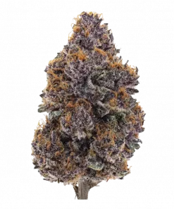 Vanilla Berries, vanilya ve orman meyveleri aromalarıyla öne çıkan Indica baskın bir türdür. Yaratıcılığı tetikleyen bu özel türün genetik yapısını keşfedin.