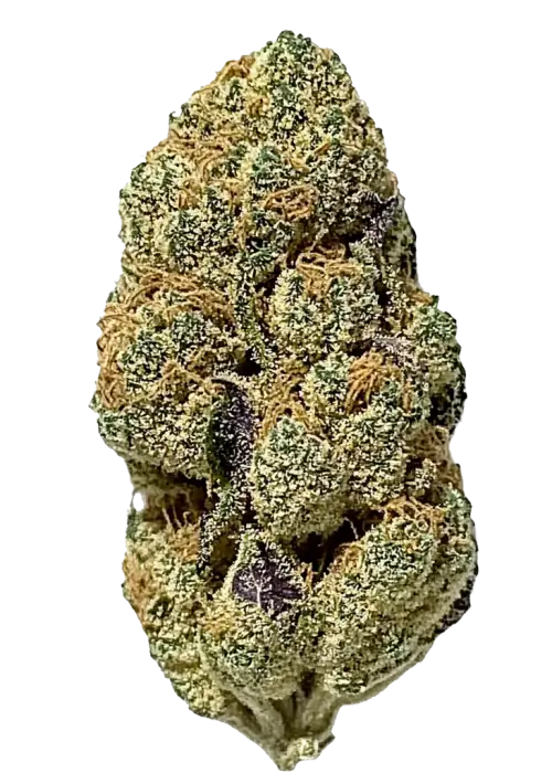 Vanilla Cake, tatlı vanilya aroması ve dengeli etkisiyle öne çıkan hibrit bir türdür. Depresyon ve stres için potansiyel faydalarını keşfedin. Hemen görüntüleyin.