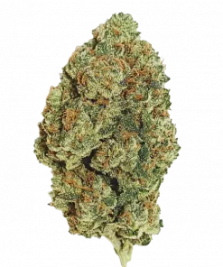 Vanilla Frosting, vanilya aroması ve rahatlatıcı etkisiyle bilinen Indica baskın bir türdür. Yaratıcılığı artıran genetik yapısını keşfedin ve detaylıca görüntüleyin.