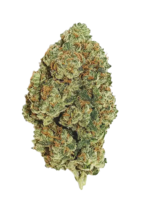 Vanilla Frosting, vanilya aroması ve rahatlatıcı etkisiyle bilinen Indica baskın bir türdür. Yaratıcılığı artıran genetik yapısını keşfedin ve detaylıca görüntüleyin.