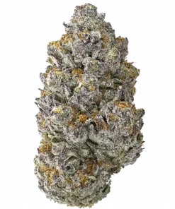 Vanilla Velvet, krema ve üzüm aromalarıyla öne çıkan dengeli bir hibrit türdür. Yüksek THC içeriğiyle dikkat çeker. Bu eşsiz türü keşfedin.