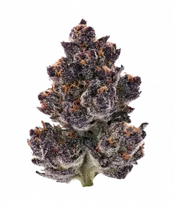 Vanta Black, topraksı ve yakıtımsı aromalarıyla öne çıkan Indica dominant bir türdür. Mutluluk ve rahatlama sunar. Genetik yapısını keşfedin.