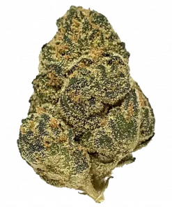 Vellatello, taze meyve aromaları ve dengeli etkisiyle öne çıkan bir hibrit türdür. Uykusuzluk ve ağrı için ideal. Genetik yapısını keşfedin.