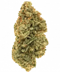 Verry Cherry, yoğun kiraz aroması ve yüksek THC içeriğiyle öne çıkan bir Indica türüdür. Rahatlatıcı etkilerini keşfedin ve genetik yapısını görüntüleyin.