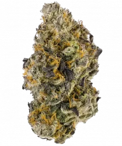 Verzace, benzini andıran aroması ve dengeli etkisiyle öne çıkan hibrit bir türdür. Stres ve depresyon için ideal. Genetik yapısını keşfedin.