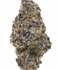 Vibranium, sert yakıtımsı aroması ve rahatlatıcı etkileriyle bilinen indica dominant bir türdür. Eşsiz genetik yapısını keşfedin ve potansiyel faydalarını görüntüleyin.