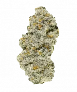 Vice Runtz, sert yakıtımsı aroması ve yüksek THC içeriğiyle öne çıkan Indica baskın bir türdür. Stres ve ağrı için ideal. Etkilerini keşfedin.