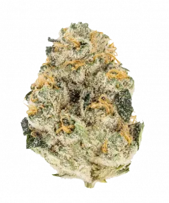 Violet Fog, tatlı üzüm aroması ve yüksek THC içeriğiyle öne çıkan indica dominant bir türdür. Derin rahatlama ve öfori için hemen keşfedin.