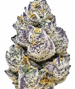 Violet Sky, üzüm aromalı ve yüksek THC'li Indica baskın türdür. Derin rahatlama ve mutluluk sunar. Genetik yapısını keşfedin ve etkilerini görüntüleyin.