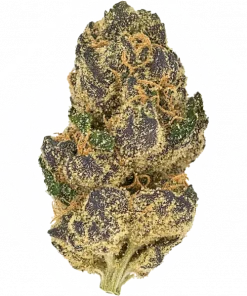 Violetti, narenciye ve orman meyvesi aromalarıyla öne çıkan Indica ağırlıklı bir türdür. Mutluluk ve rahatlama sunan genetik yapısını keşfedin.