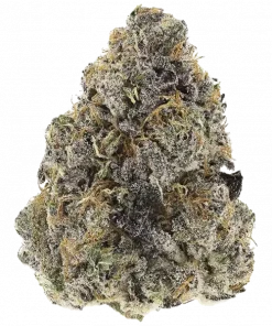 Violicious, tatlı üzüm aroması ve rahatlatıcı etkileriyle bilinen dengeli bir hibrit türdür. Depresyon ve anksiyeteye iyi gelebilir. Özelliklerini keşfedin.