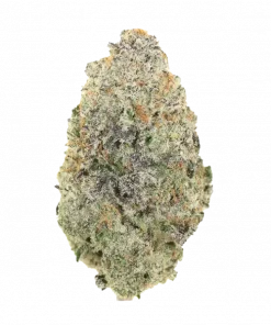 VSOP, sert baharat aroması ve yüksek THC içeriğiyle bilinen güçlü bir Indica hibritidir. Derin rahatlama sunan bu özel türü keşfedin.