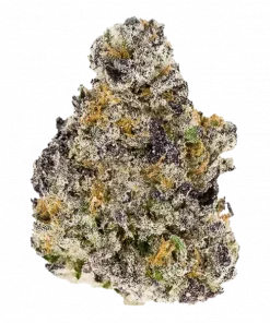 Wafer Vibes, vanilya aromalı ve dengeli etkili bir hibrit türdür. Sakinleştirici ve keyifli yapısıyla öne çıkar. Bu eşsiz türü keşfedin.