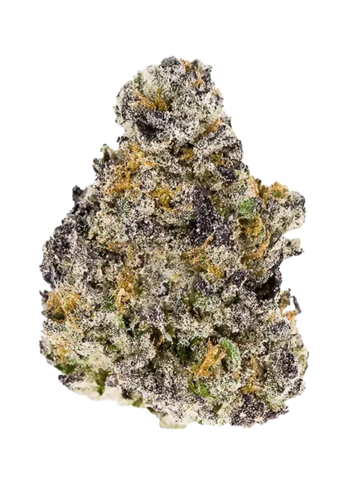 Wafer Vibes, vanilya aromalı ve dengeli etkili bir hibrit türdür. Sakinleştirici ve keyifli yapısıyla öne çıkar. Bu eşsiz türü keşfedin.