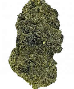 Wapanga!, kimyasal limon aroması ve tropikal meyve notalarıyla öne çıkan indica baskın bir türdür. Yüksek THC içeriğiyle dikkat çeker. Etkilerini keşfedin.