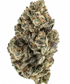 Warhead, belirgin limon aroması ve yüksek THC içeriğiyle öne çıkan Sativa baskın bir türdür. Canlandırıcı etkileriyle bilinen bu hibriti keşfedin.