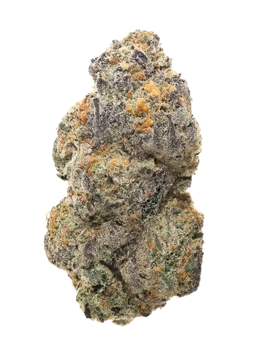 Washing Machine, tatlı ve yakıtımsı aromasıyla öne çıkan dengeli bir hibrit türdür. Enerji veren etkilerini ve genetik yapısını keşfedin.