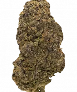 Watermelon Sundae, tatlı karpuz aroması ve dengeli etkisiyle öne çıkan Indica dominant bir türdür. Yüksek THC içeriğiyle dikkat çeken bu türü keşfedin.