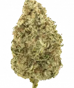 Watermelon Z 2.0, tatlı meyve aroması ve yüksek THC içeriğiyle bilinen bir indica hibritidir. Dengeli etkileriyle öne çıkar. Özelliklerini keşfedin.