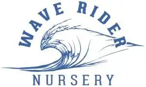 Wave Rider Nursery