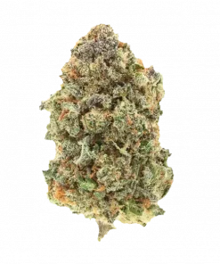 Weapon X, sert yakıtımsı aroması ve yüksek THC içeriğiyle bilinen dengeli bir hibrit türdür. Depresyon ve uykusuzluğa iyi gelir. Özelliklerini keşfedin.