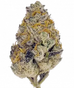 Wedding Cake, tatlı kurabiye aroması ve güçlü rahatlatıcı etkisiyle bilinen Indica dominant bir türdür. Anksiyete ve stresi azaltmak için hemen keşfedin.