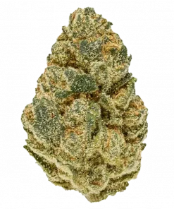 Wedding Cake Auto, tatlı vanilya aroması ve rahatlatıcı etkisiyle bilinen Indica dominant bir türdür. Otomatik çiçeklenen yapısıyla kolayca yetiştirin. Hemen keşfedin.