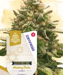 Wedding Cake Auto Fem Esrar Tohumu (Zamnesia Seeds)