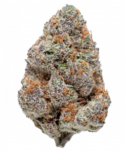 Wedding Cheesecake FF, vanilya aromalı, yüksek THC'li Sativa baskın türdür. Enerjik etkileriyle öne çıkar. Bu eşsiz türün genetik yapısını keşfedin.