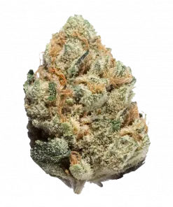 Wedding Crasher, vanilya-üzüm aromalı, yüksek THC'li Indica baskın bir türdür. Stres ve depresyonu azaltmaya yardımcı olabilir. Özelliklerini keşfedin.