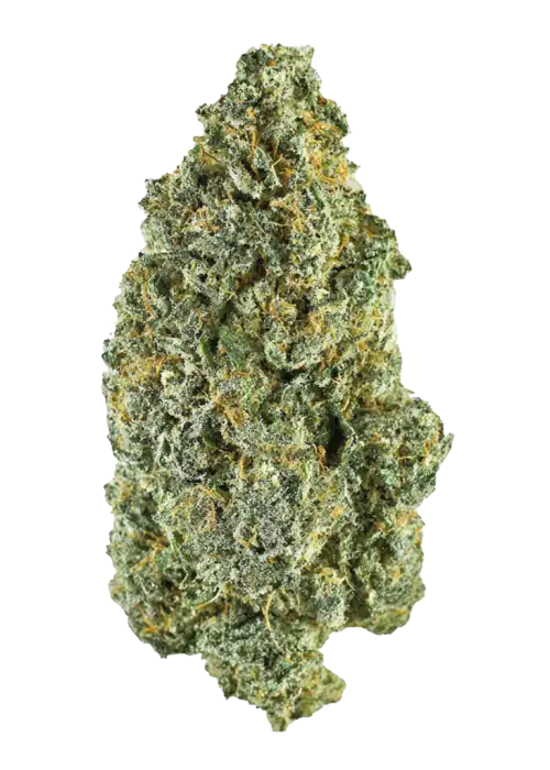 Wedding Gelato, meyvemsi aroması ve yüksek THC içeriğiyle bilinen Indica baskın bir türdür. Depresyon ve anksiyeteye iyi gelir. Özelliklerini keşfedin.