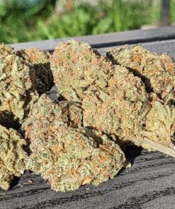 Wedding Glue Auto Fem Esrar Tohumu (Fast Buds)