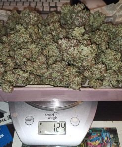 Wedding Glue Auto Fem Esrar Tohumu (Fast Buds)