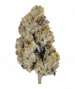 Wedding Monkey, tatlı meyve aromaları ve rahatlatıcı etkileriyle bilinen Indica dominant bir türdür. Uykusuzluk ve ağrı için ideal. Özelliklerini keşfedin.